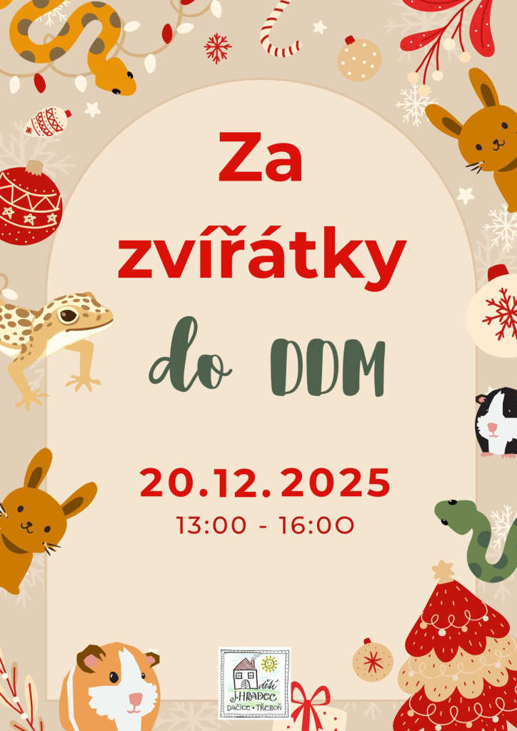 Za zvířátky do DDM