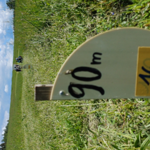 20250524_095223.jpg