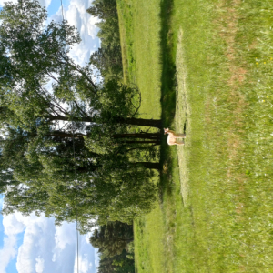 20250524_104332.jpg