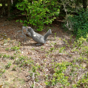 20250524_104447.jpg