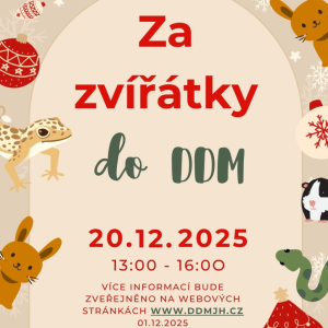 Za zvířátky do DDM