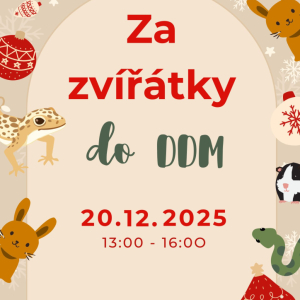 Za zvířátky do DDM