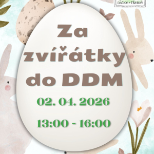 Za zvířátky do DDM