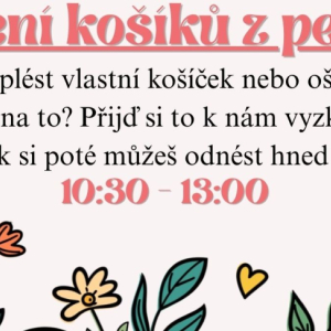 Pletení košíků z pedigu